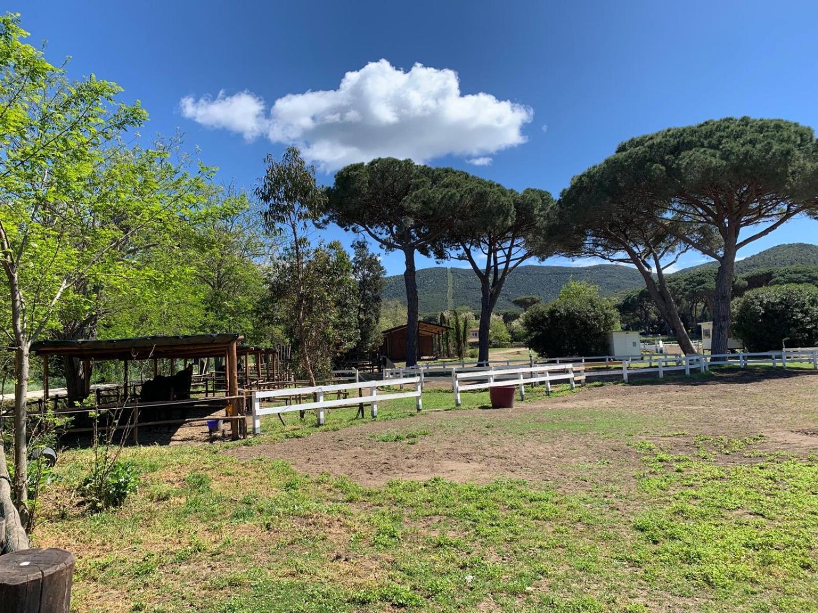 La Casa Delle Stelle Appartement Tirli Buitenkant foto