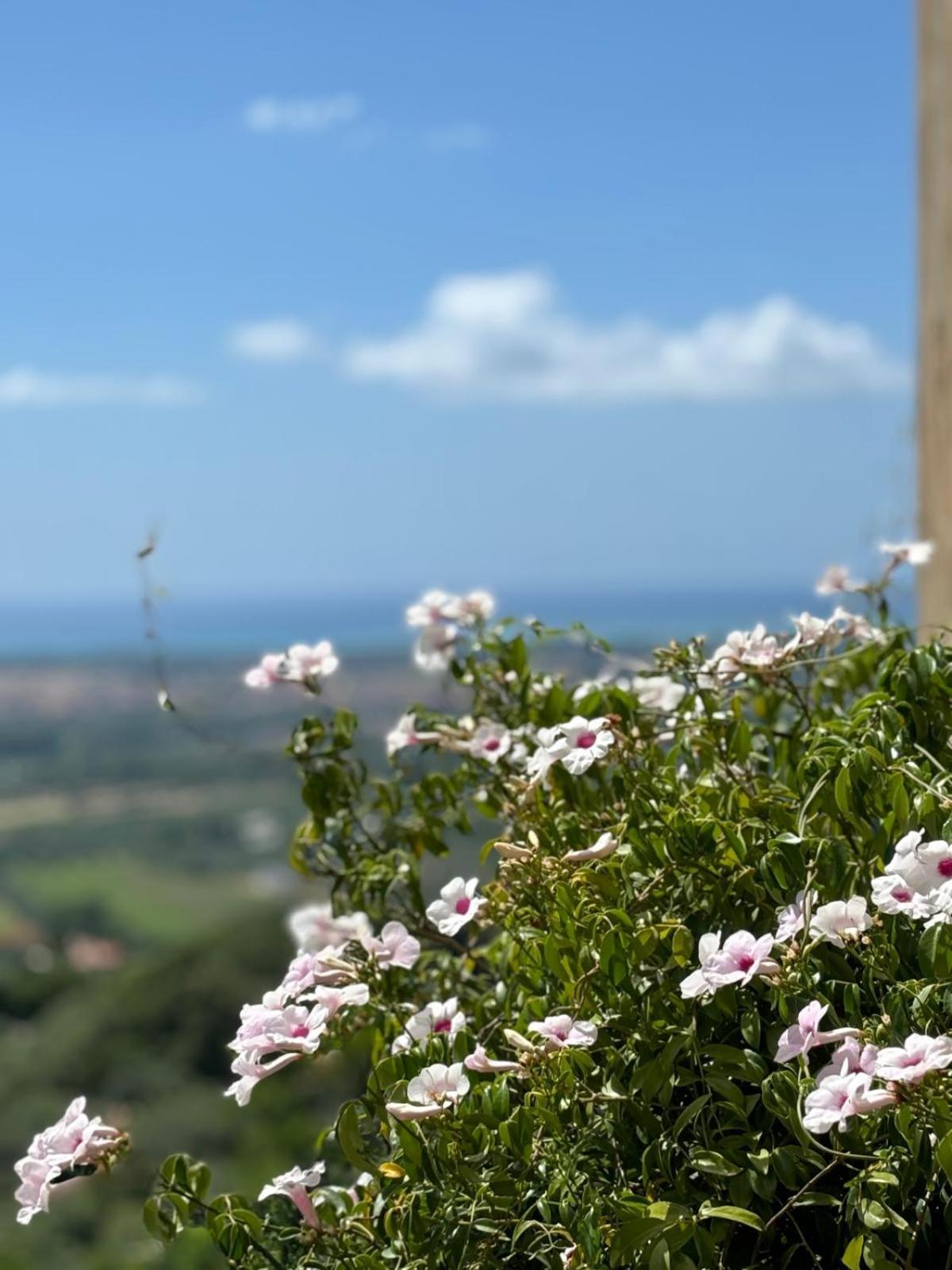 La Casa Delle Stelle Appartement Tirli Buitenkant foto